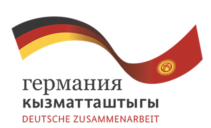 Flags of Germany and Kyrgyzstan